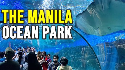 What You Need To Know Before You Visit Manila Ocean Park  .